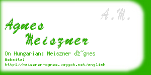 agnes meiszner business card